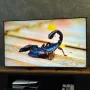 نمای کلی تلویزیون سونی BRAVIA 5 (XR50) با طراحی One Slate